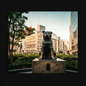 Foto della Statua del Cane Hachiko